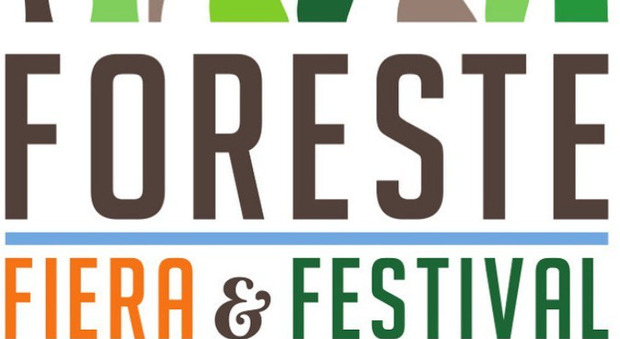 Veneto, via a Fiere & Festival delle foreste: dal 10 settembre a Belluno il focus sull'ambiente