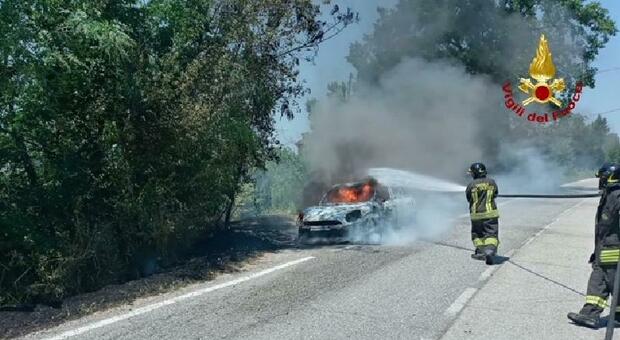 Auto in fiamme, guidatore scende in tempo e dà l'allarme. Incendio spento dai vigili del fuoco