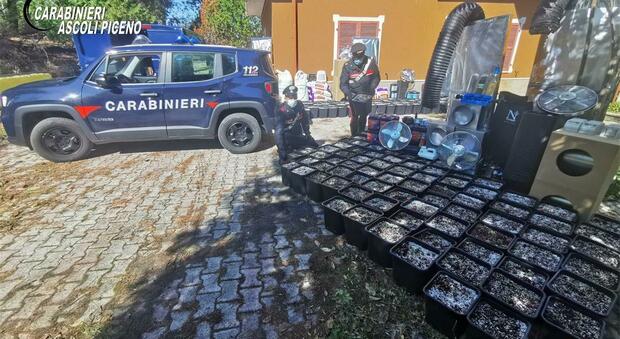Il materiale sequestrato dai carabinieri in un casolare nella periferia di Ascoli