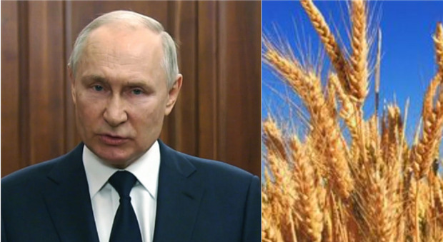 Putin, lo zar sospende l'accordo sul grano ucraino: possibile emergenza alimentare in vista? I leader europei sperano in un dietrofront