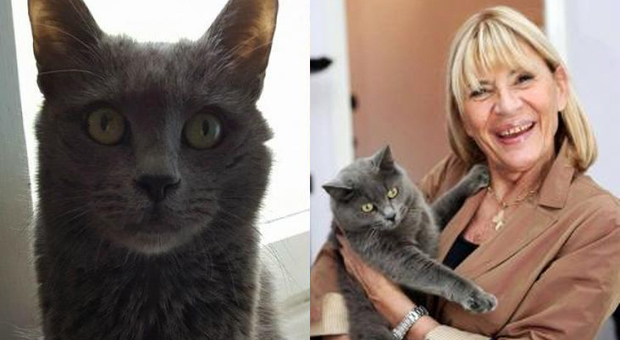 Uomini e Donne, Gemma Galgani e il dolore social per il gatto: «Non riesco a dimenticarti»
