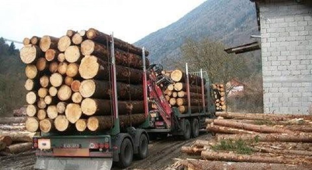 Da Russia e Ucraina non arriva legname. Imprese in allarme