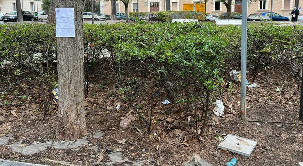 L’hater degli animali è tornato in azione: esche trappola trovate nel quartiere Adriatico