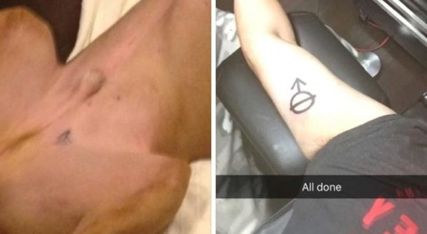 Si fa lo stesso tatuaggio del suo cane, poi su Facebook fa una terribile scoperta