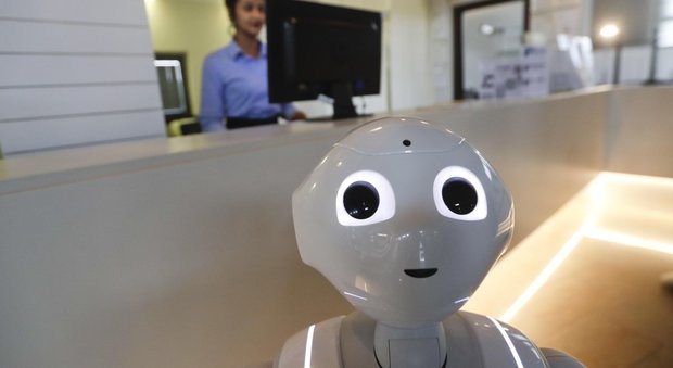 Verona, al desk dell'hotel il primo robot concierge: Robby Pepper risponde alle domande dei clienti
