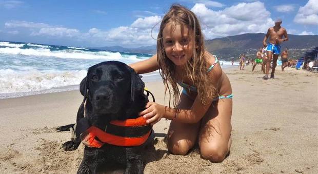 Tragedia sfiorata in mare, cane eroe salva bimba di 8 anni travolta da un'onda