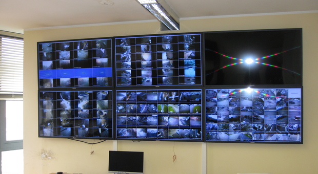 Sicurezza: a Benevento altre telecamere, pronto il regolamento sulla privacy
