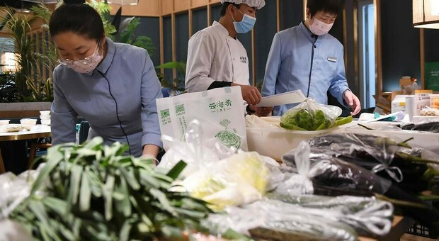 Cina, dieta light sempre più diffusa tra i giovani: boom dell'economia dell'industria dell'alimentazione salutare