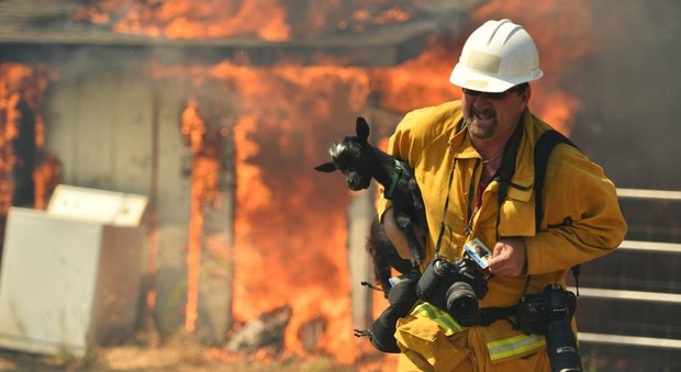 Usa, maxi-incendio devasta area vicino a Los Angeles: evacuate 82mila persone