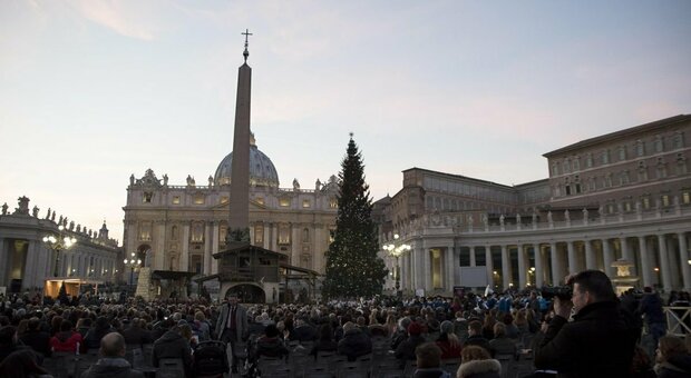 Albero di Natale in Vaticano, dall'Abruzzo l'abete per il Papa: ma il taglio è top secret per depistare gli ecologisti