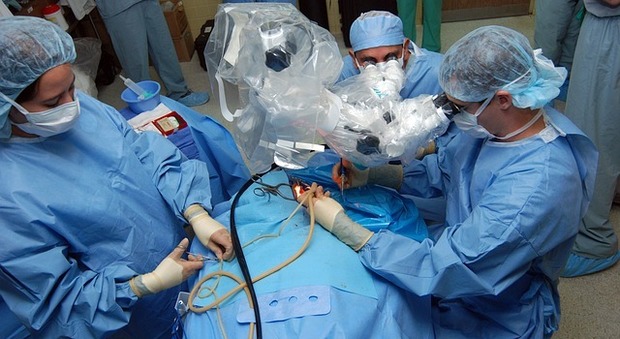 Travolta da 2 auto, chirurgo di fama mondiale chiede 10 milioni: «Non potrò più operare»