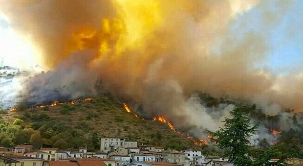 Incendi boschivi, in dieci anni bruciata un'area grande tre volte quella del Comune di Frosinone