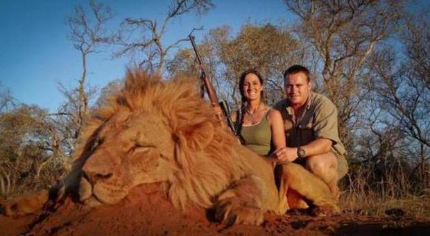 Presentatrice uccide leone e si vanta sui social network