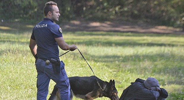 Pesaro, la polizia ritorna al parco con i cani e trova ancora della droga