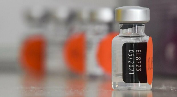 Pfizer, vaccino meno efficace sulle varianti sudafricana e brasiliana: ecco i riultati dei test sui campioni di sangue