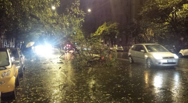 Tornado a Roma, ambulanze bloccate dagli alberi: la maxi emergenza sul Litorale