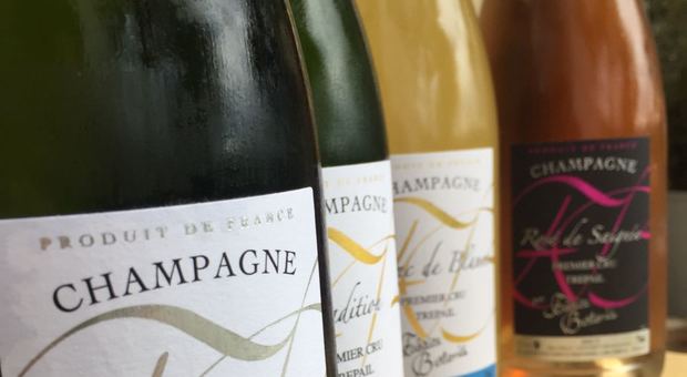 Sostenibilità: Champagne ridurrà del 75% le sue emissioni entro il 2050