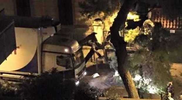 Torre del Greco. Camion sbatte contro albero e lo sdradica | Foto