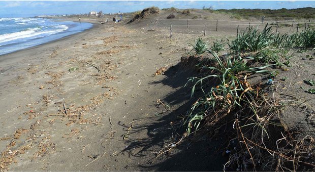 L’erosione che avanza nel tratto di costa dell’oasi WWF di Macchiagrande a Focene