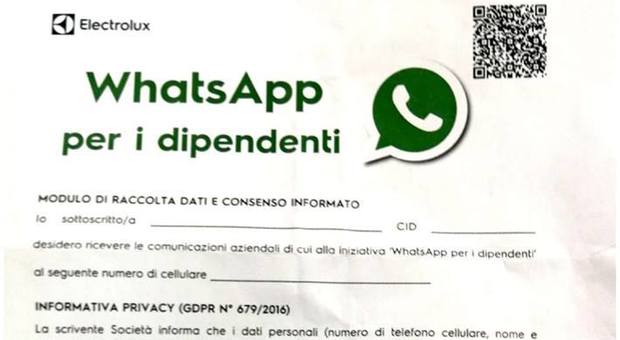 Electrolux attiva gruppo WhatsApp, lavoratori in rivolta: vuole controllarci