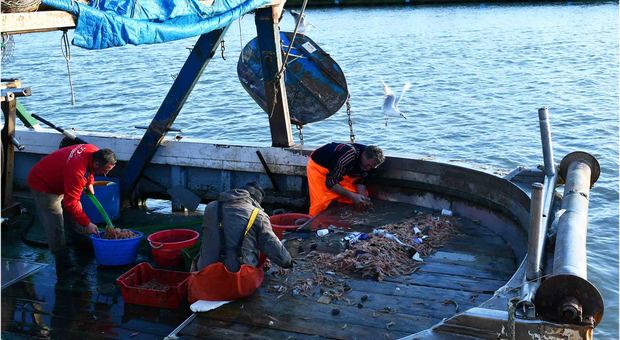 I pescatori di Fiumicino separano la plastica dal pesce