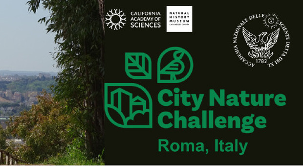 Roma, dal 26 aprile parte la city nature challenge: una competizione tra 480 città di tutto il mondo