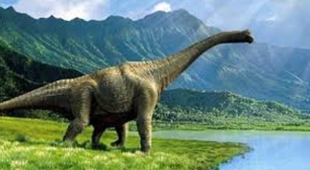 Ricostruito il primo dinosauro era nuotatore e cacciava nei fiumi