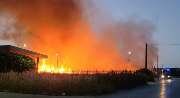 Incendi, in Italia da giugno oltre 900 incendi. Coldiretti: «16mila ettari in fumo»