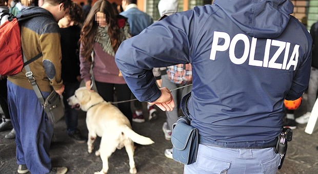 Pesaro, controlli coni cani davanti a scuola: tre ragazzini trovati con la marijuana