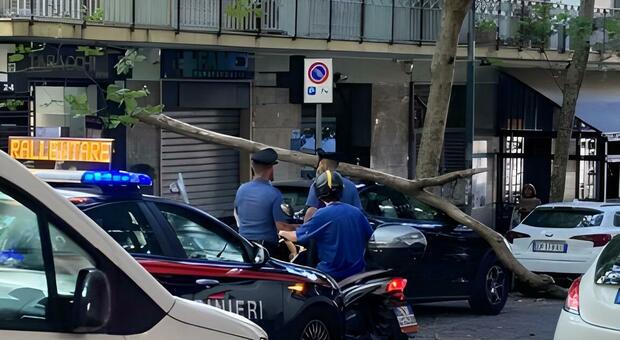 Tragedia sfiorata al Vomero: un ramo si abbatte su un'auto: nessun ferito