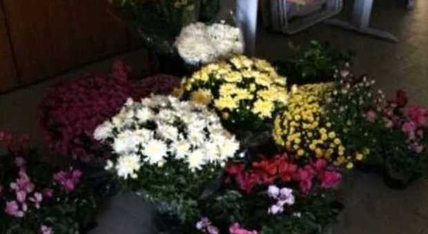 Dillo al Mattino | «I miei fiori rubati al cimitero»