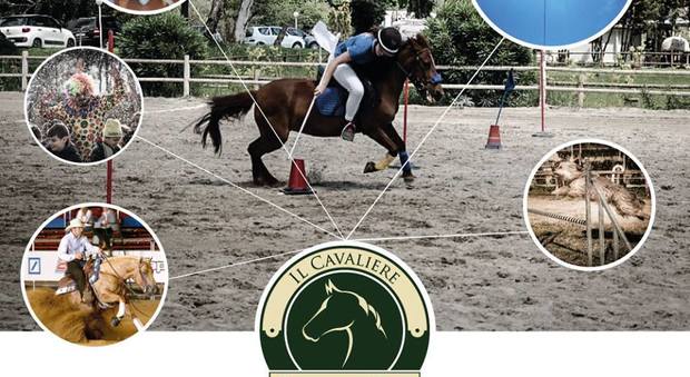 A Napoli Cani, cavalli, sport e allegria: ad Agnano festa doc a quattrozampe