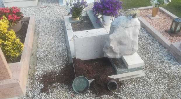 Ladri rubano l'ulivo piantato sulla tomba del figlio morto a 19 anni