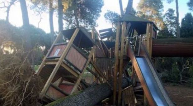 Villa Ada chiusa per crollo alberi: «Cittadini prigionieri dentro il parco»