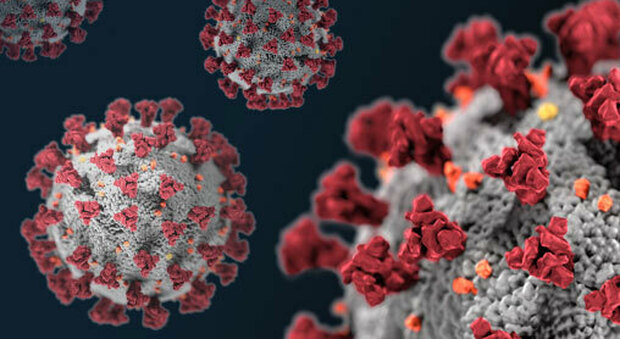 Coronavirus, 28 positivi nella casa di riposo “Il Giardino”, la Asl subentra nella gestione