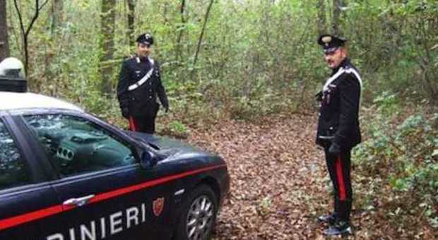 Cadavere in un bosco, giallo vicino a Como: appartiene ad un uomo scomparso ad agosto