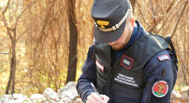 Rieti, denunciato dai carabinieri forestali per incendio colposo