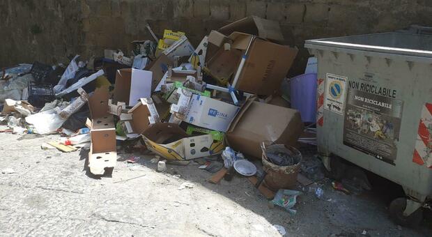 Napoli, topi e blatte tra i rifiuti, l'Asia: «Segno dell'inciviltà della gente»