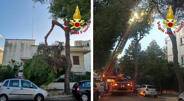 Allerta per il forte vento a Lecce, alberi pericolanti: intervengono i Vigili del Fuoco. E i parchi restano chiusi anche domani