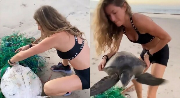 La top model Gisele Bündchen salva una tartaruga marina rimasta intrappolata in una rete da pesca su una spiaggia - VIDEO