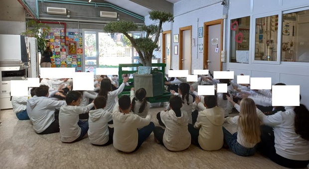 Educazione ambientale, alla primaria Aldo Moro di Terni si fa con Pacifico, l'ulivo ultradecennale donato da Pro Natura