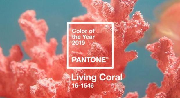 Moda, il rosa delle barriere coralline sarà il colore del 2019