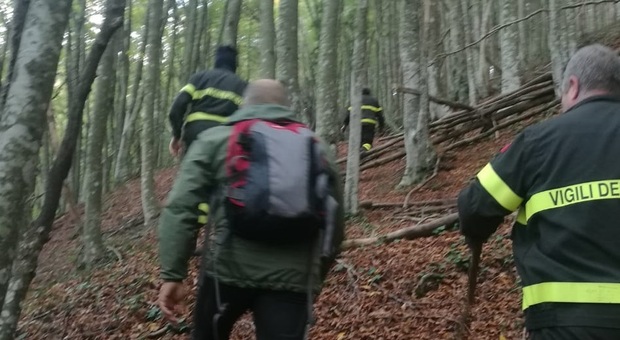 Si perdono nei boschi: ritrovati mamma e figlio di 10 anni