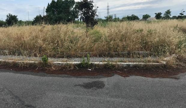 immagine Roma, bimbe avvelenate all'asilo comunale sulla Portuense