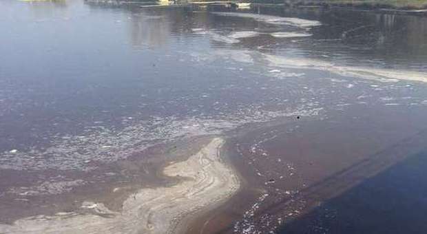 Latina, allarme inquinamento a Sabaudia: chiazze marroni nel Lago di Paola, scattano i controlli