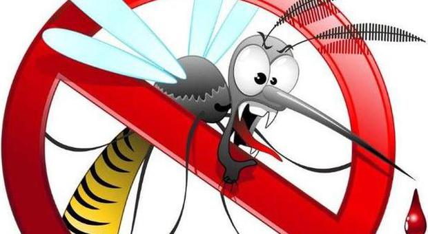 Le zanzare pungono sempre voi? Colpa dei geni