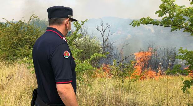 Campania, spenti incendi boschivi: impegnate 18 squadre protezione civile
