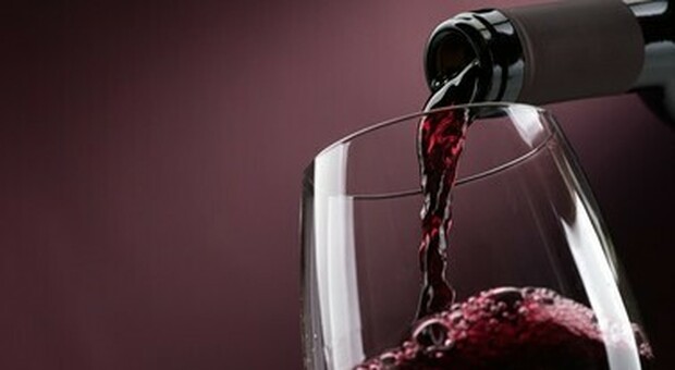 Assoenologi, qualità del vino passa dalla conoscenza scientifica