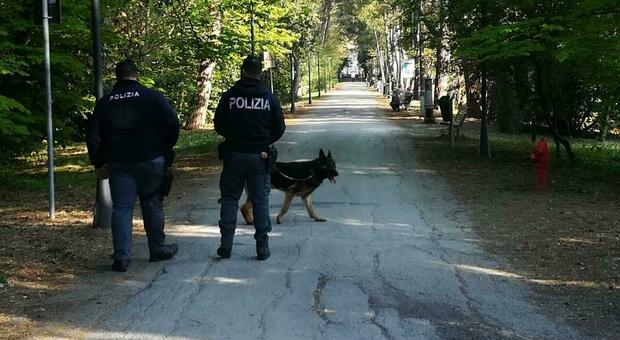 Poliziotti con il cane Tar lungo i viali del Miralfiore e identificazione al parco delle Rimembranze Poliziotti con il cane Tar lungo i viali del Miralfiore e identificazione al parco delle Rimembranze