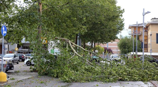 Il maltempo investe il Centro-Nord: tempesta di vento a Bologna, danni e feriti lievi